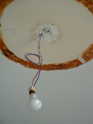 L'ampoule du plafond